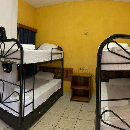 Natz Hotel فلوريس المظهر الخارجي الصورة