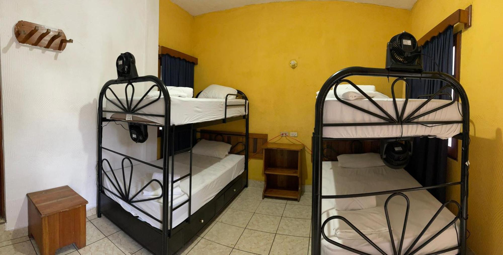 Natz Hotel فلوريس المظهر الخارجي الصورة